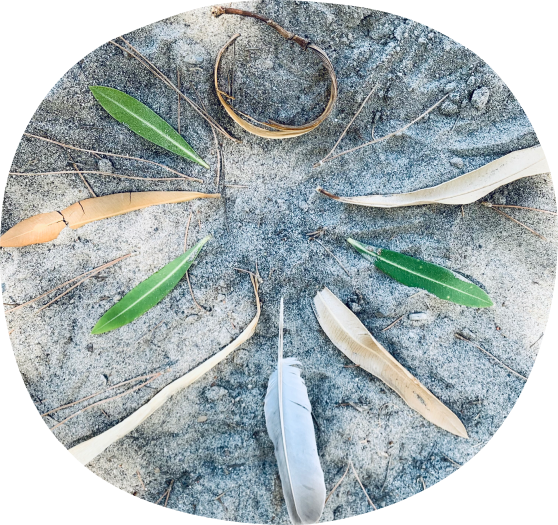 alt=“Wild natural mandala. ">